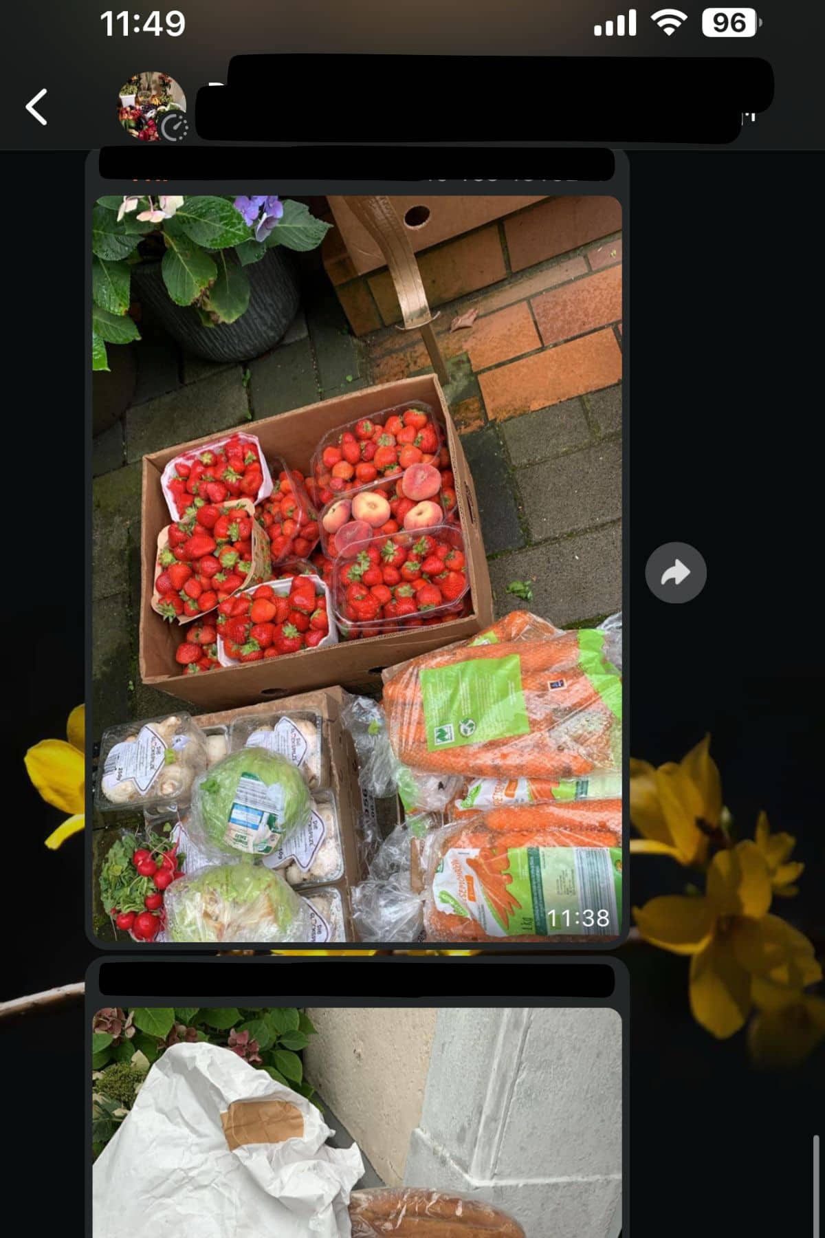 Geld sparen beim Einkaufen mit Foodsharing